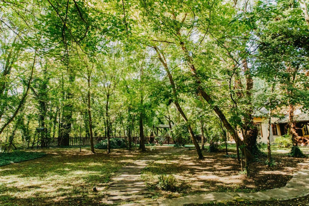 Forest House 帕利克 外观 照片