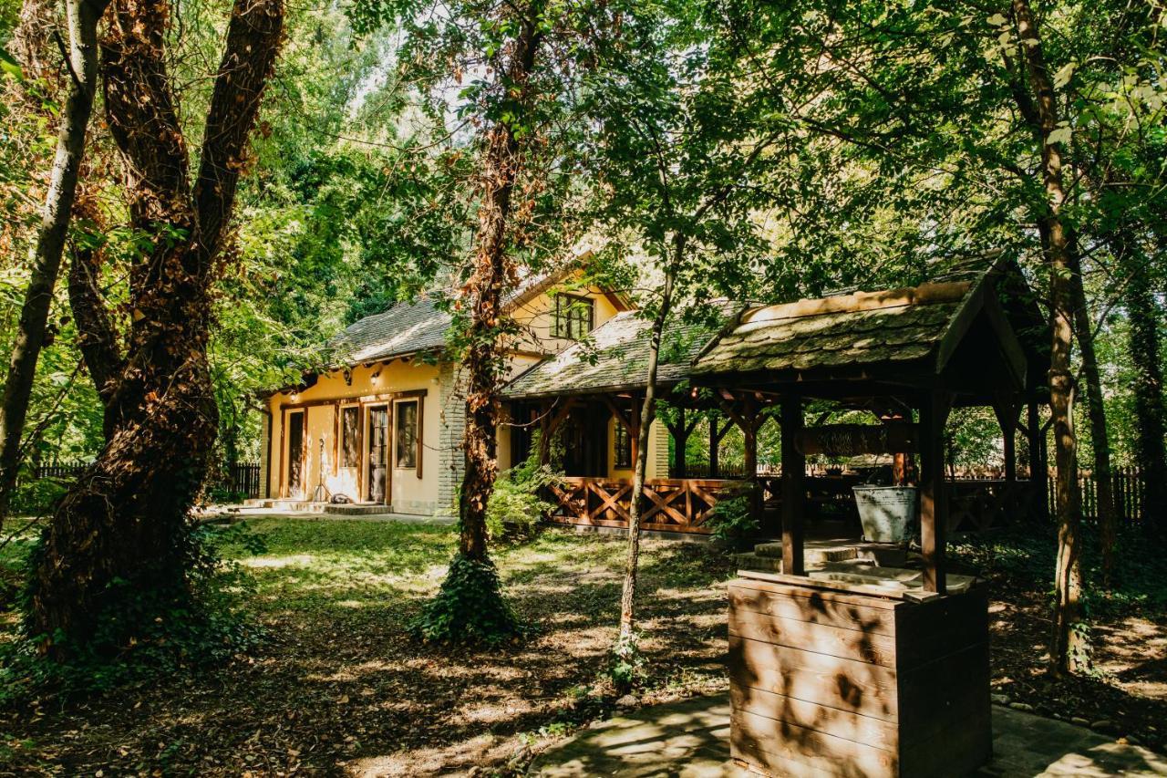 Forest House 帕利克 外观 照片
