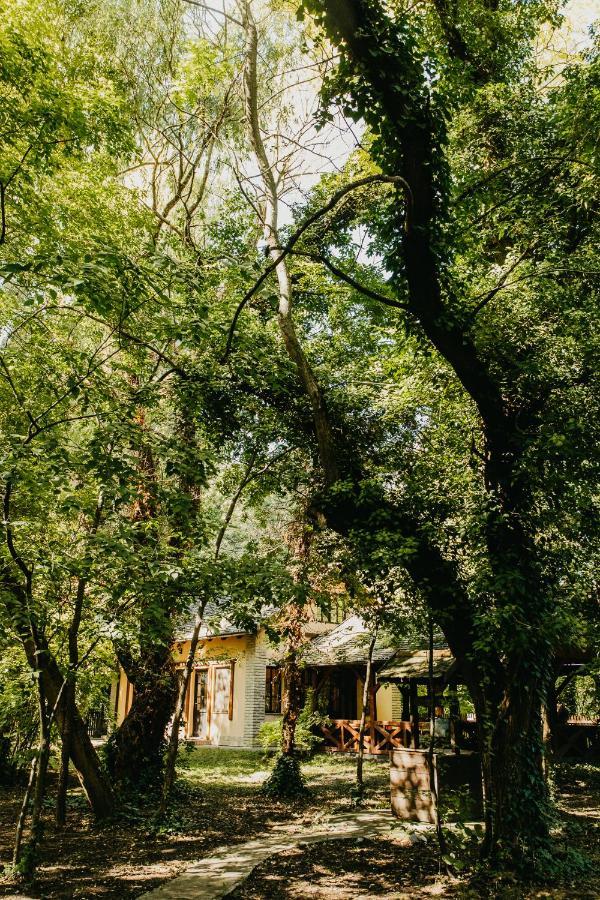 Forest House 帕利克 外观 照片