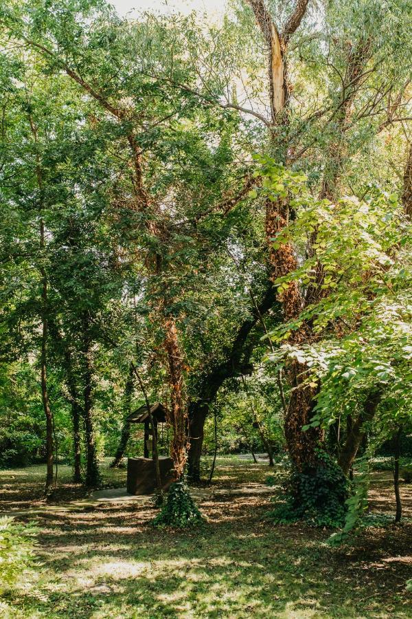Forest House 帕利克 外观 照片