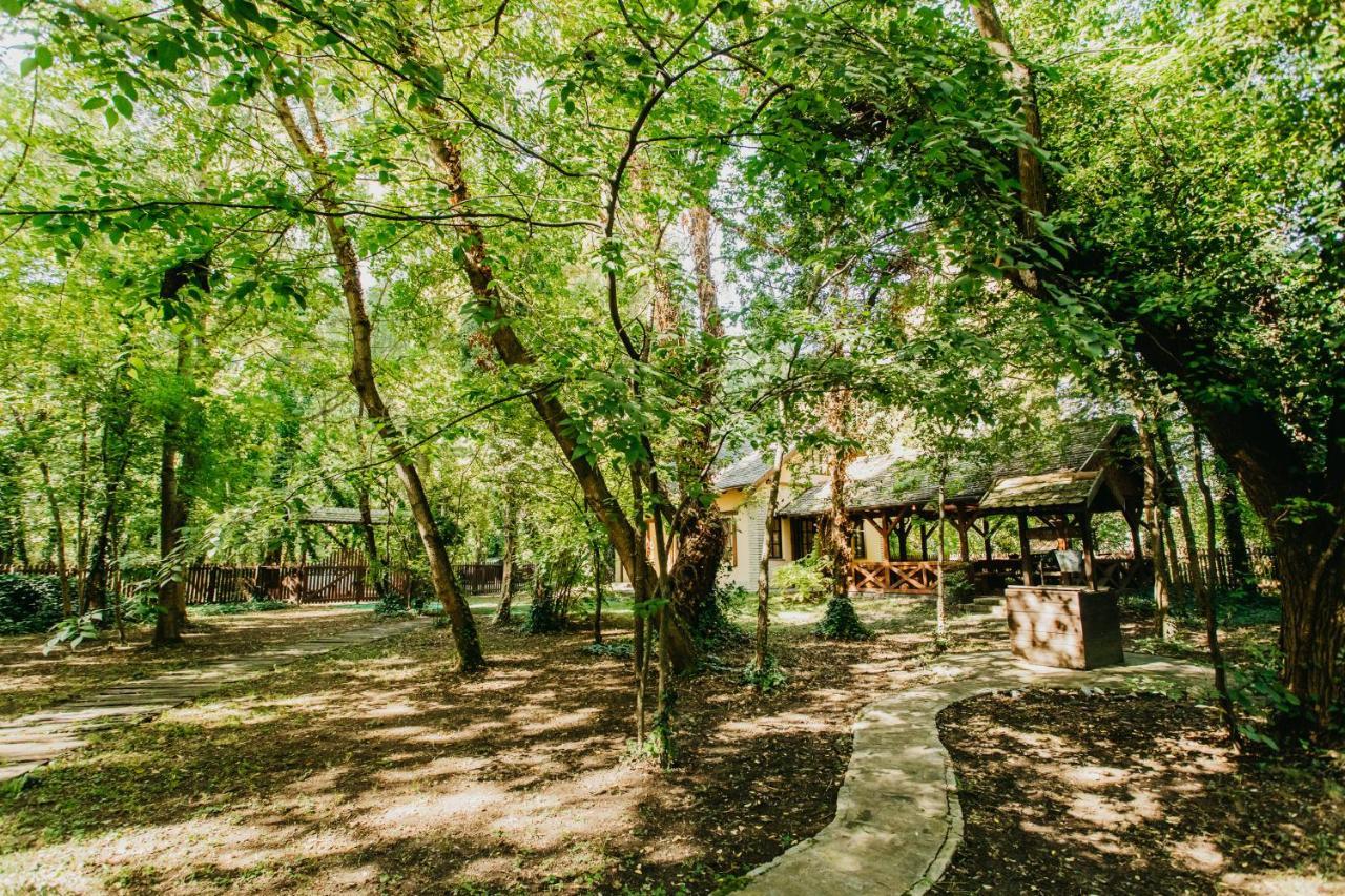 Forest House 帕利克 外观 照片